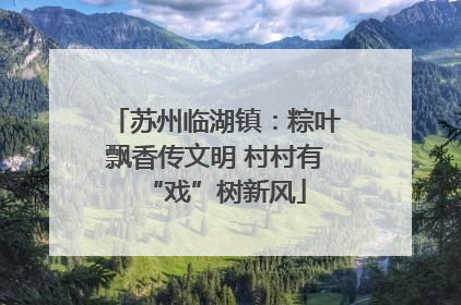 苏州临湖镇：粽叶飘香传文明 村村有“戏”树新风